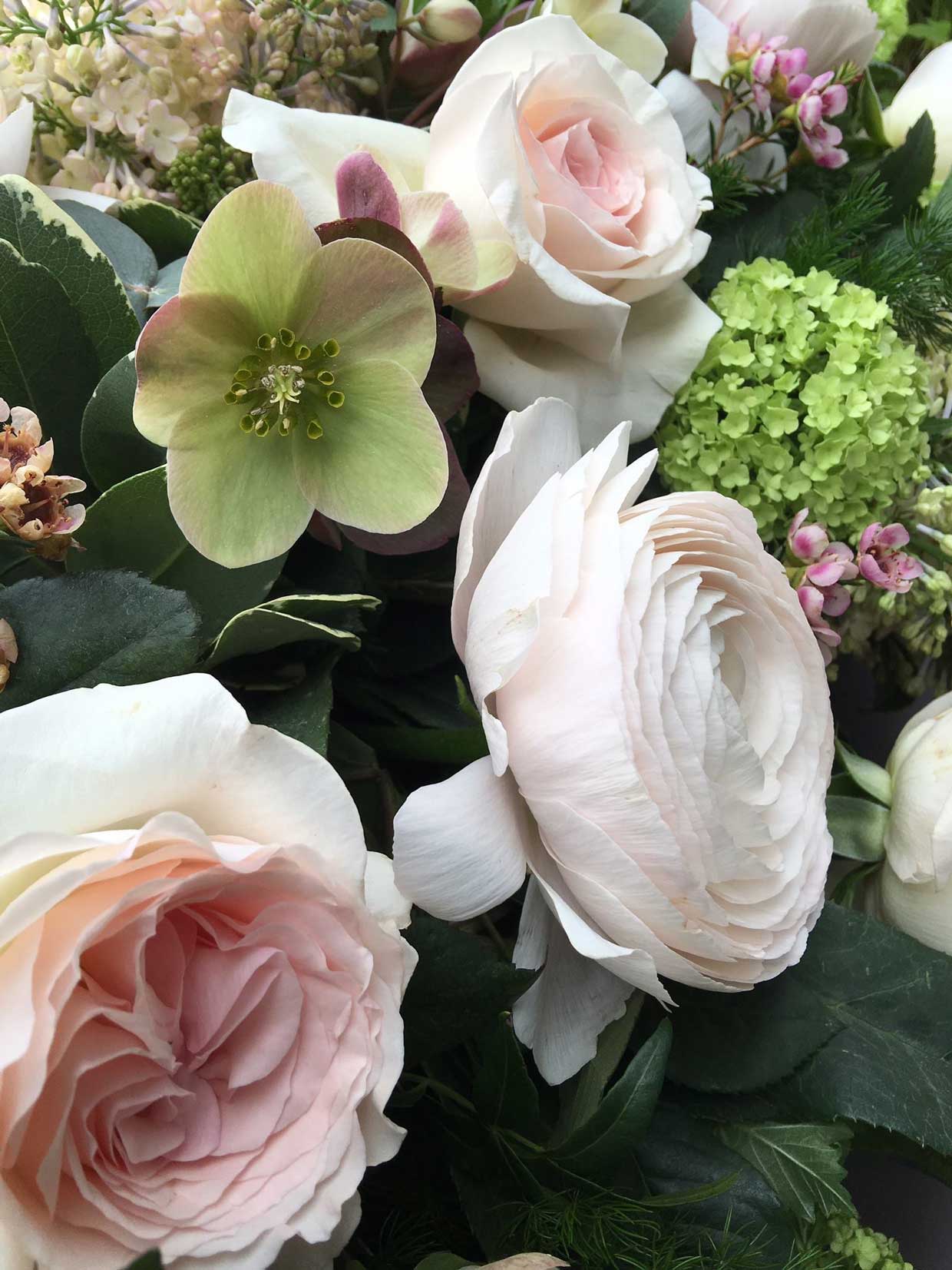 Area Floribus bloemen & planten