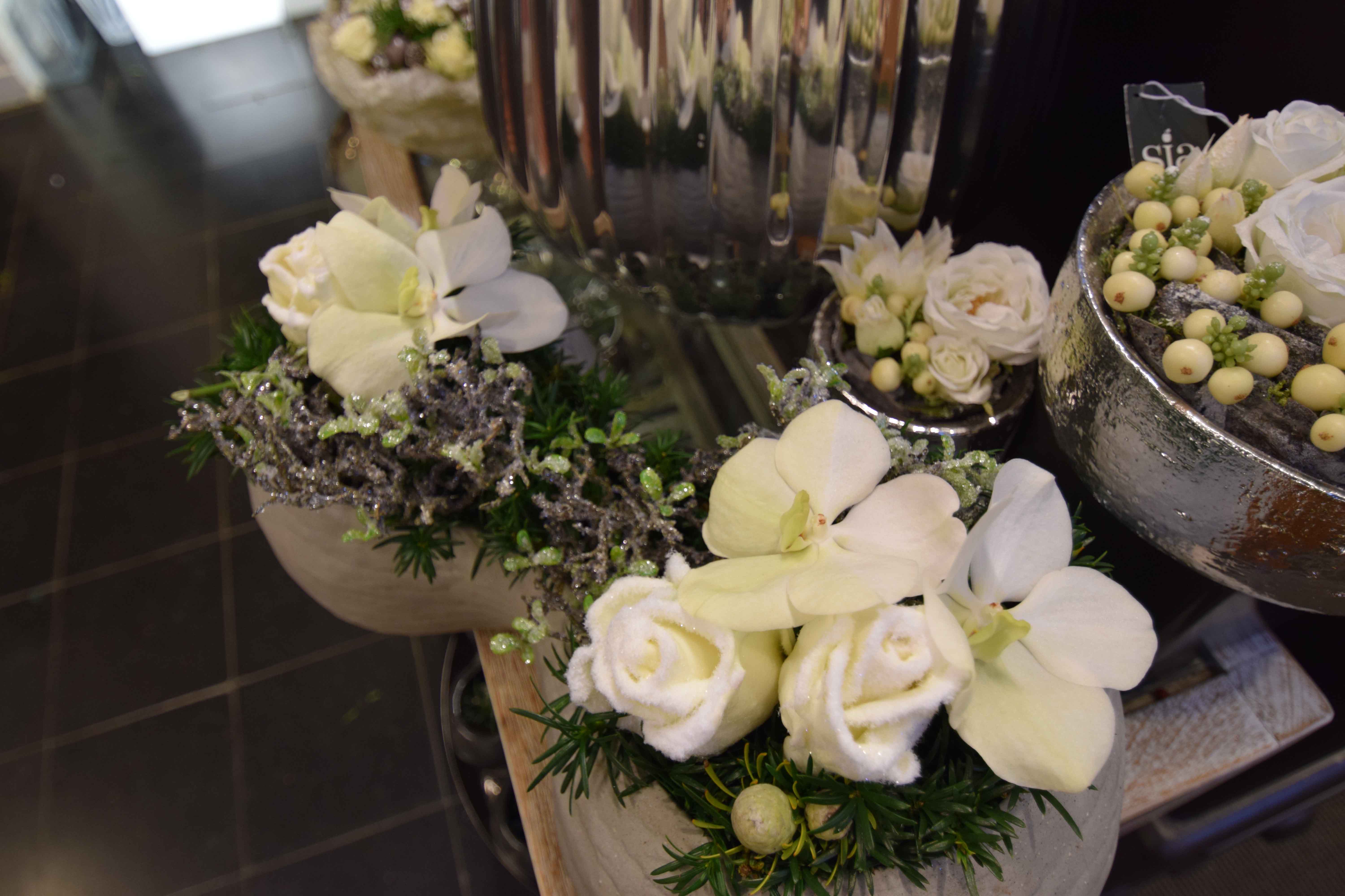 Area Floribus bloemen & planten