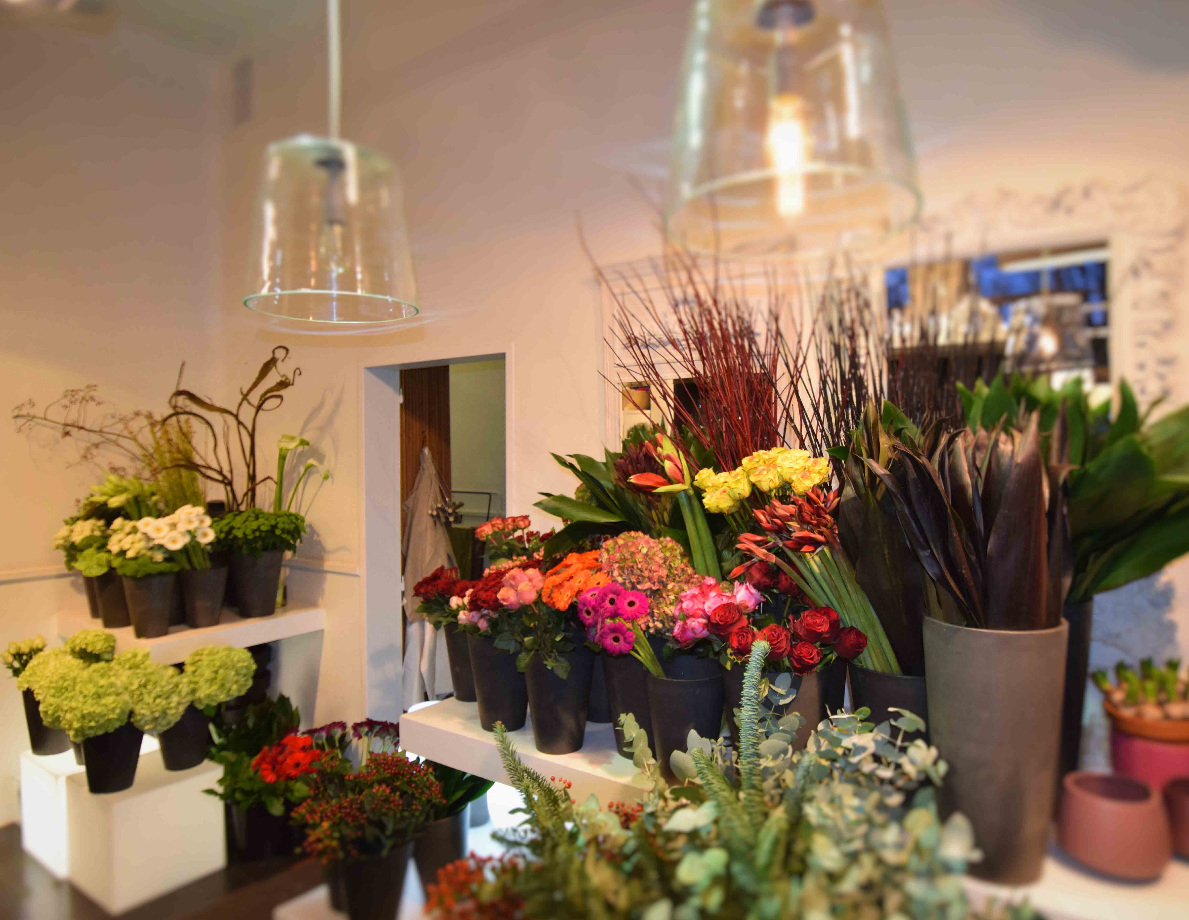 Area Floribus bloemen & planten