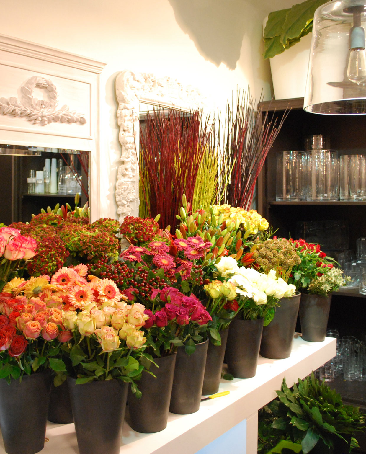 Area Floribus bloemen & planten