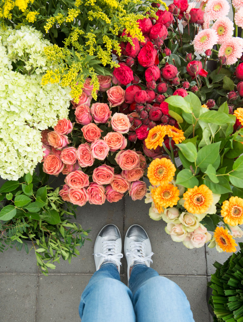 Area Floribus bloemen & planten