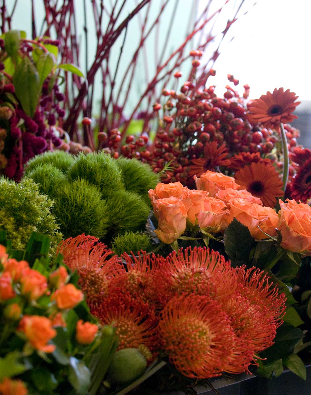 Area Floribus bloemen & planten
