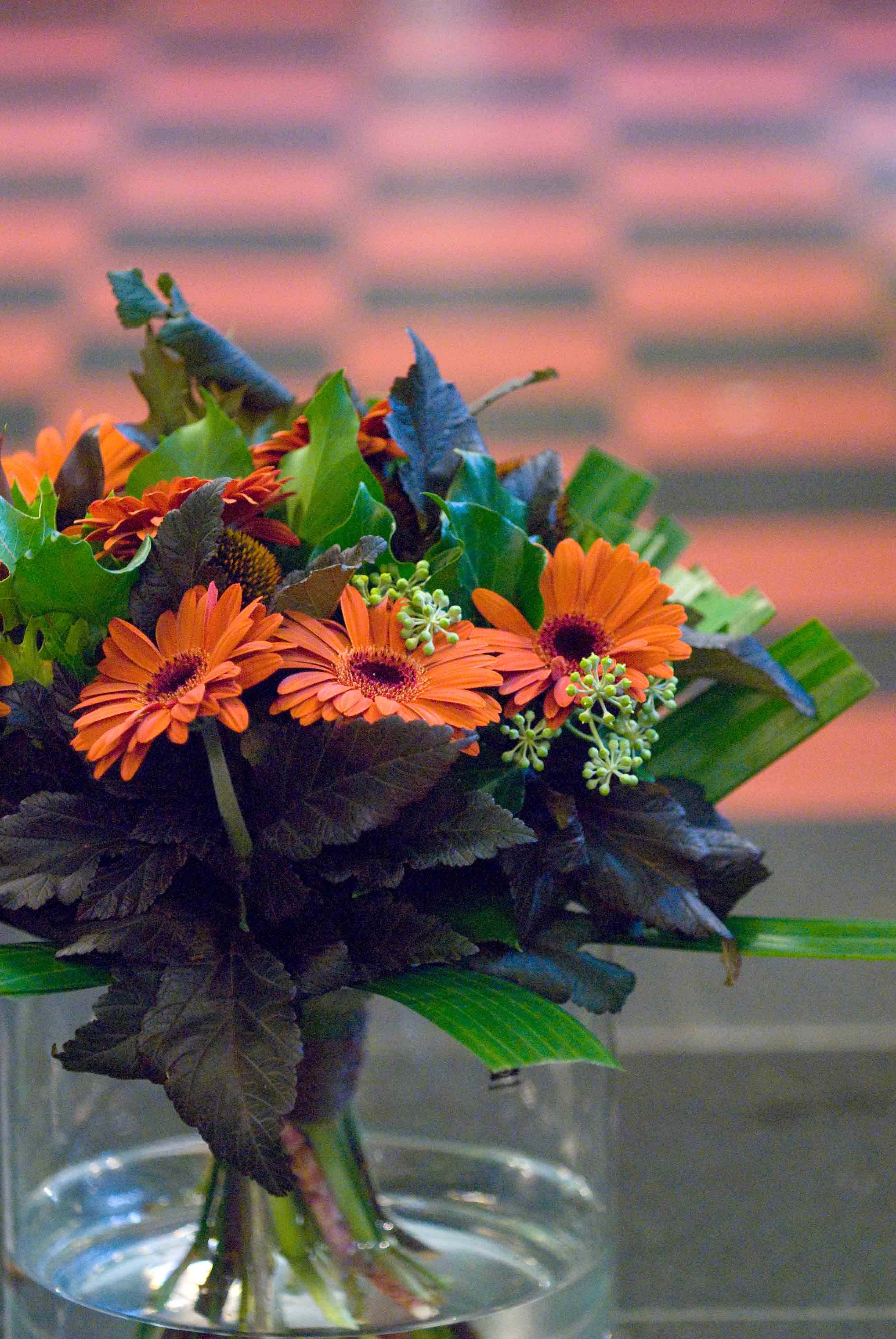 Area Floribus bloemen & planten