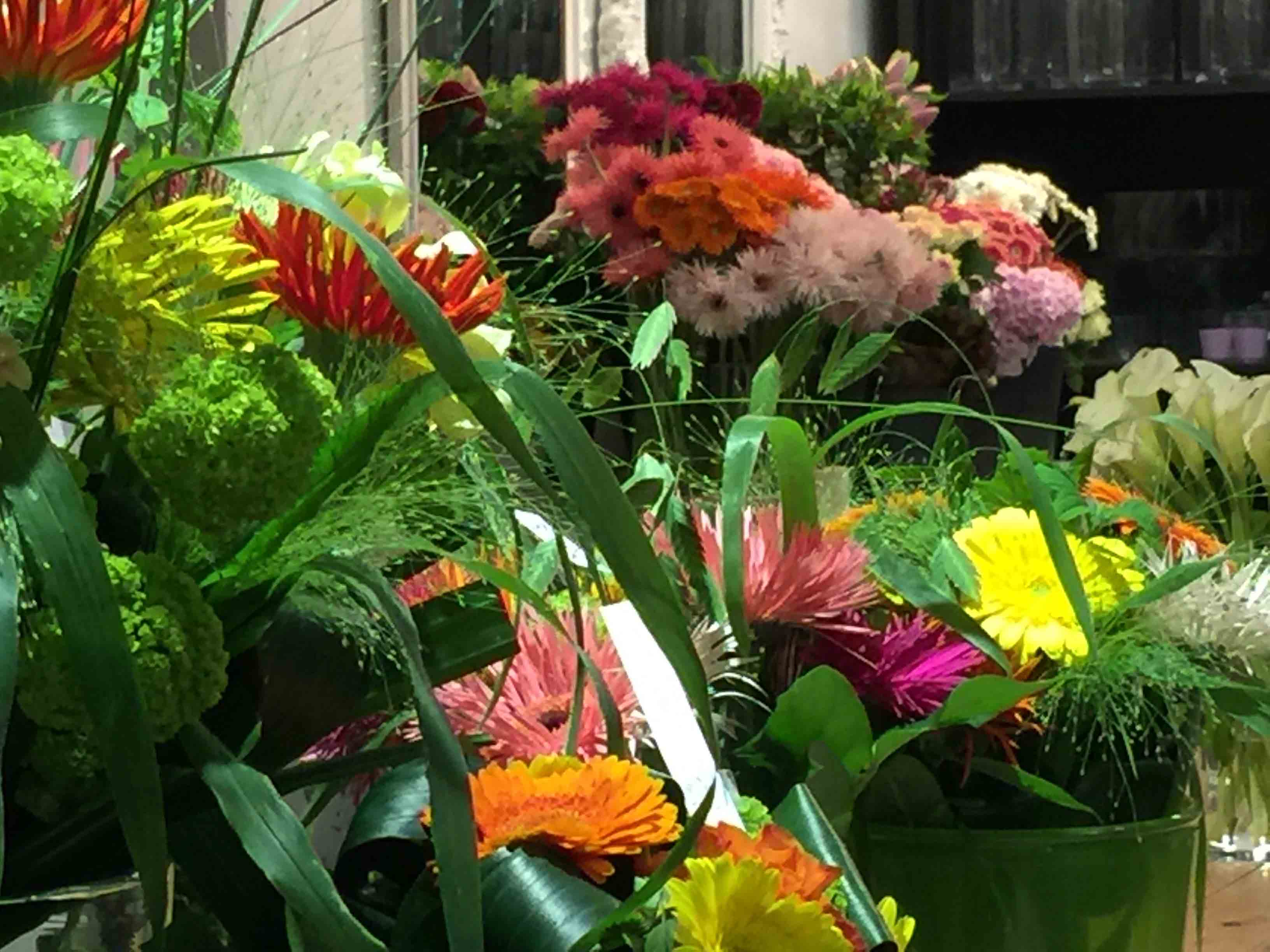 Area Floribus bloemen & planten