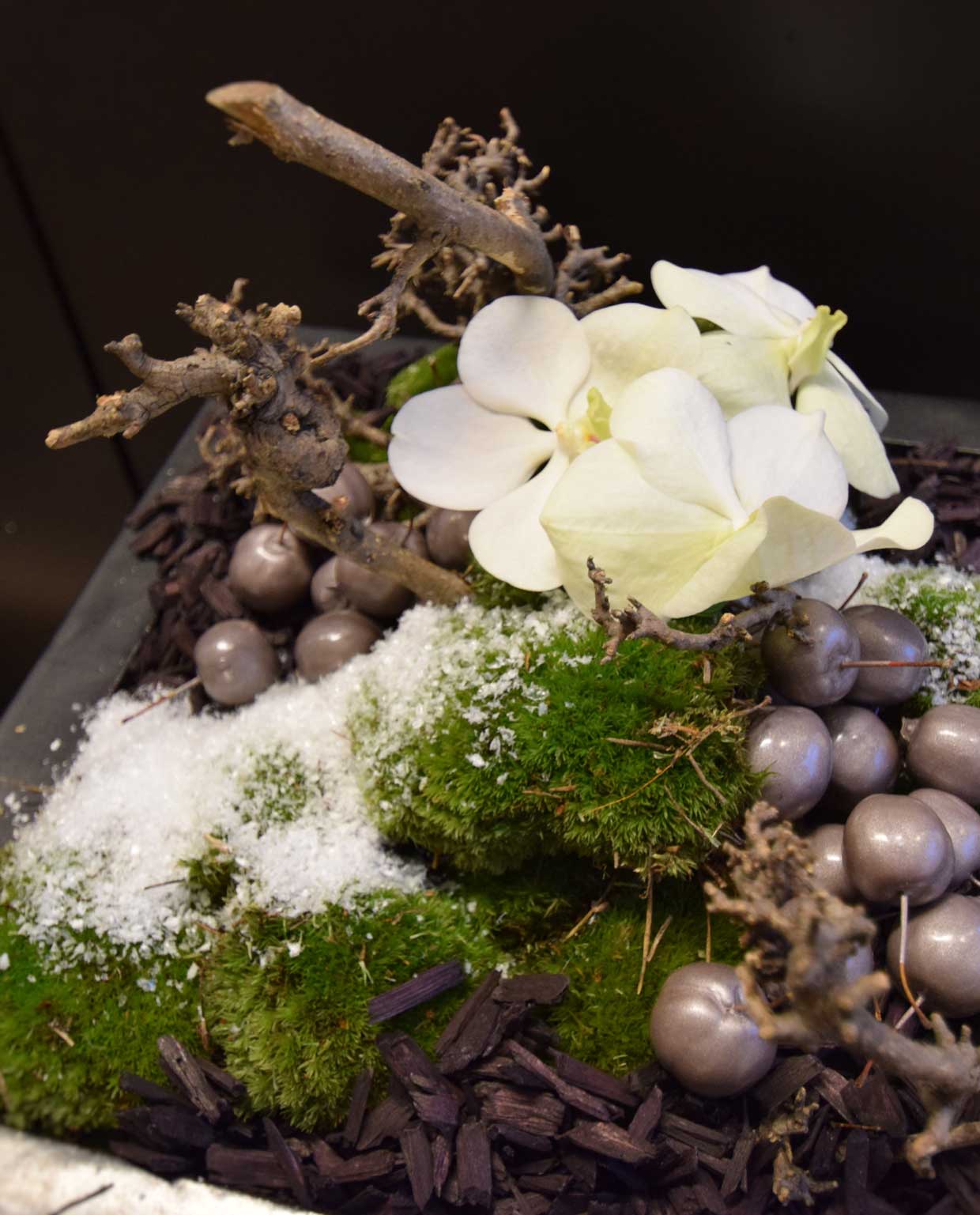 Area Floribus bloemen & planten