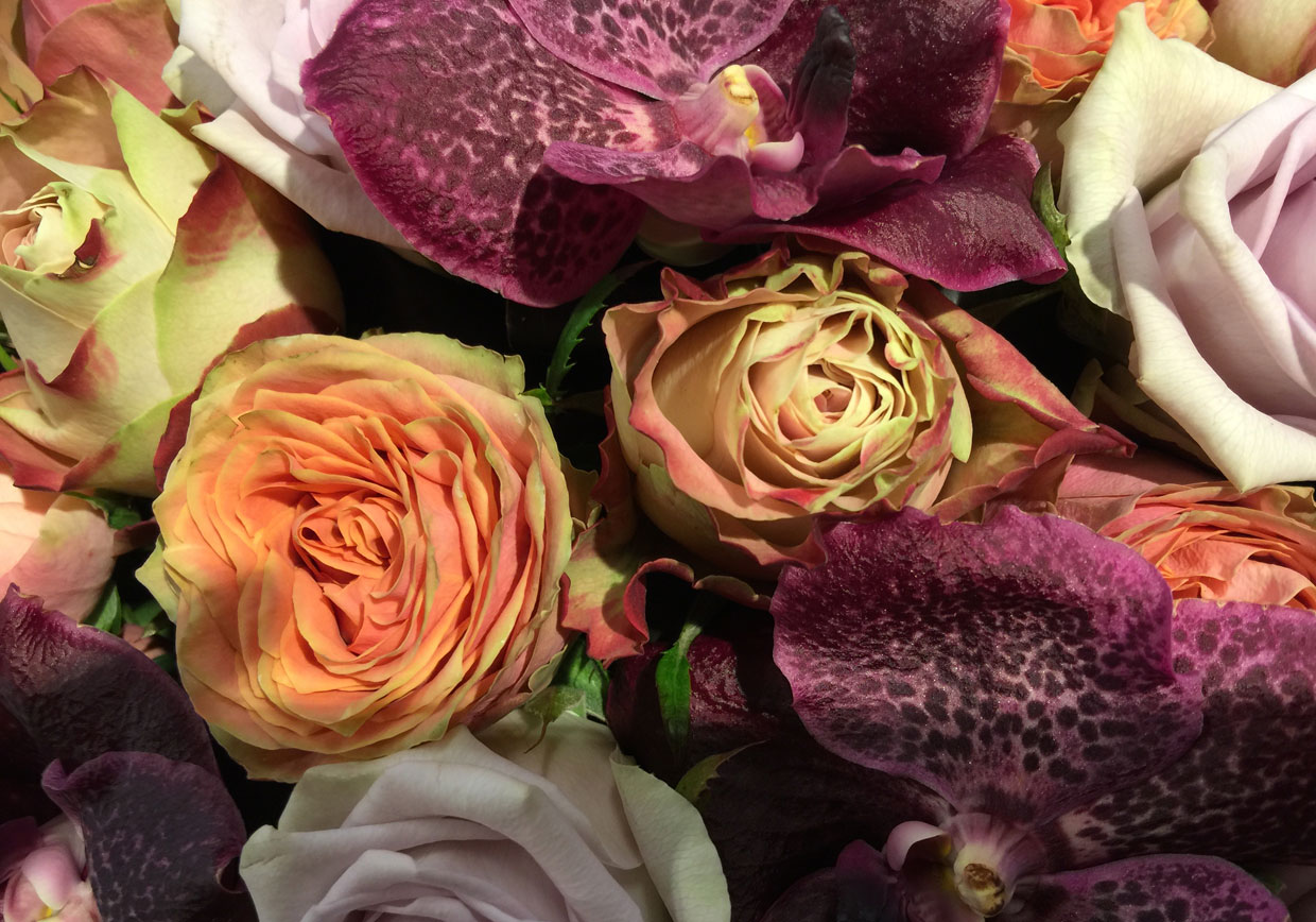 Area Floribus bloemen & planten
