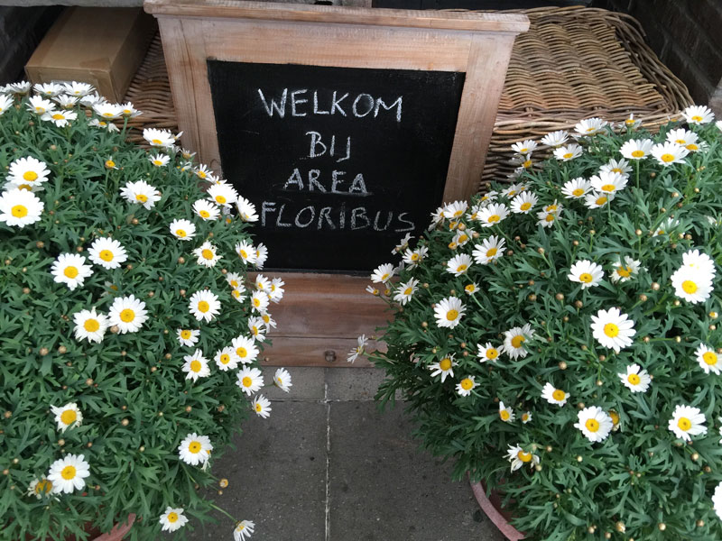 IMG_2307-kopie Area Floribus tuin