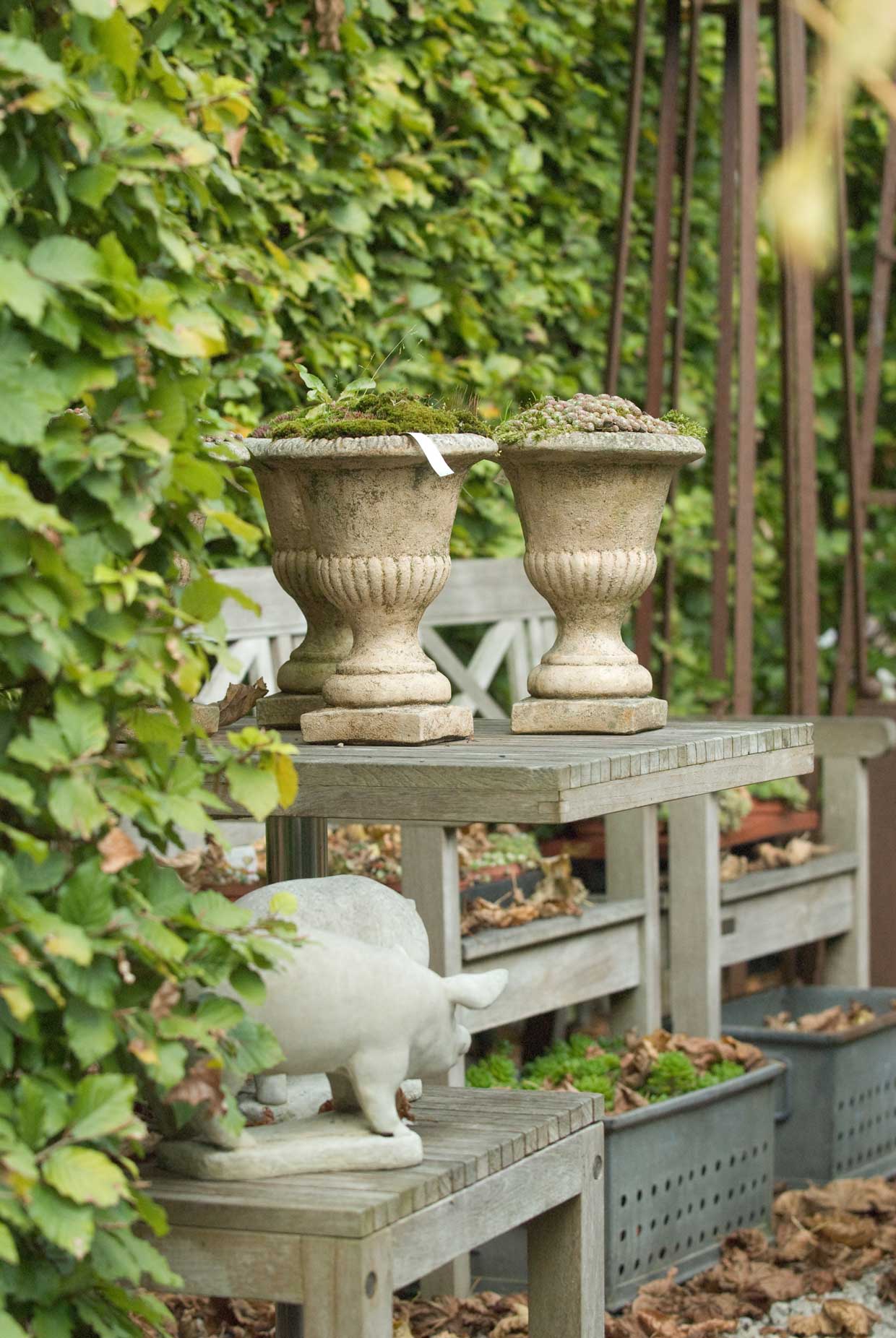 Area Floribus tuin